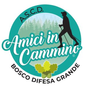 AmiciInCammino